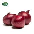 Selling chinese fresh red onion wholesale onion per ton price